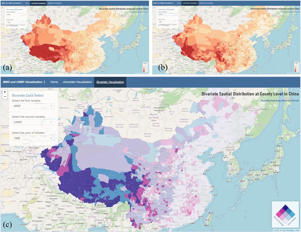 县域孕产妇死亡率研究图件